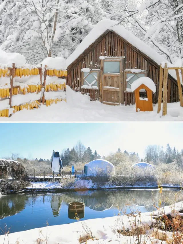 Great! It's Jilin! A fairytale cabin hidden in the snow forest