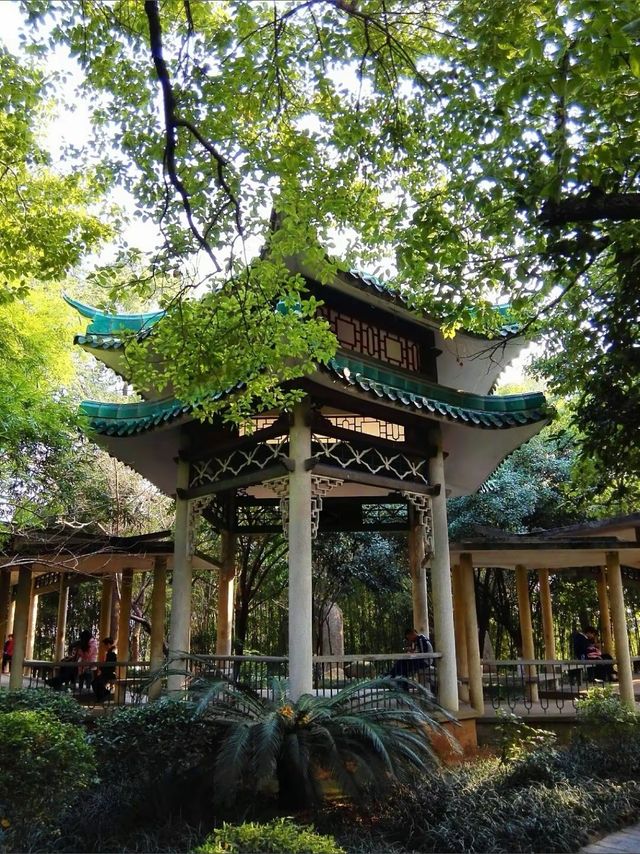 衡陽