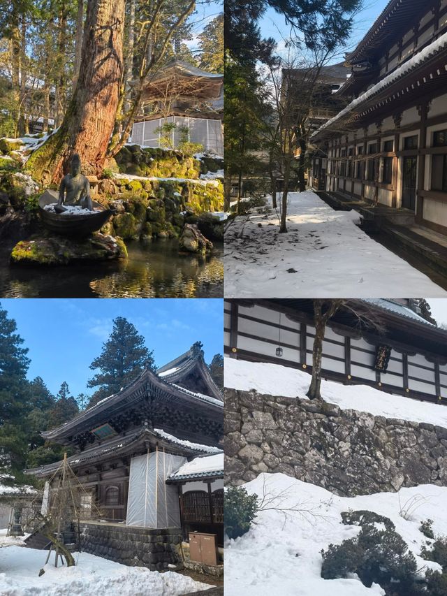 邂逅福井：小眾日本的絕佳打開方式