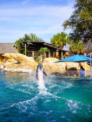 SeaWorld San Antonio | One-day Tour Guide