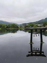 日本5日遊超火路線 別再去錯地方了