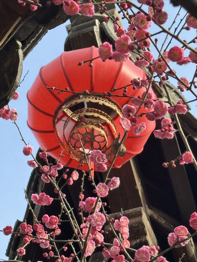 2025年南京燈會