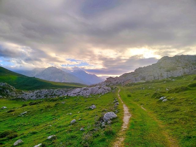 Mountain Route Near Treviso: A Hidden Green Paradise 🌿🐄