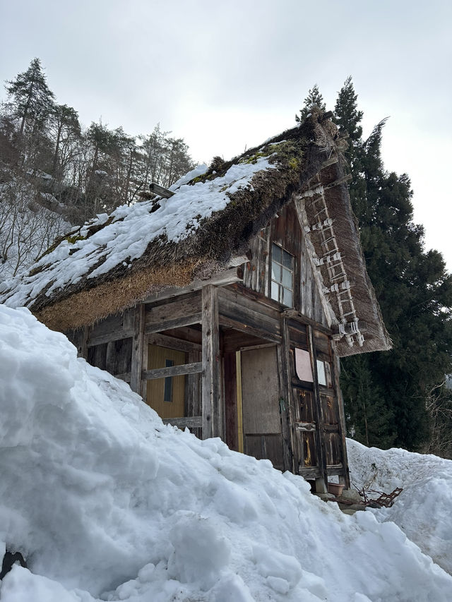 ❄️ Shirakawa-go: A Winter Wonderland Straight Out of a Fairytale ❄️