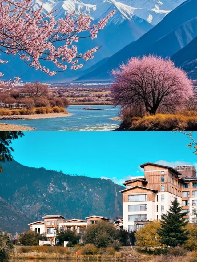 3月的林芝，真的是人間理想。
