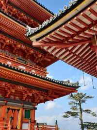 日本7日深度遊 超詳細攻略來襲