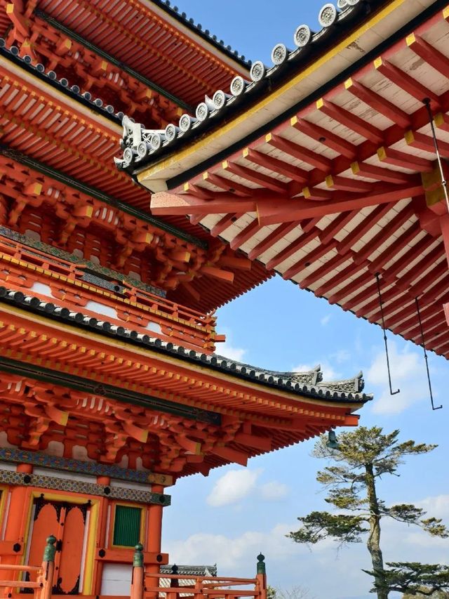 日本7日深度遊 超詳細攻略來襲