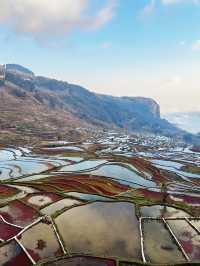 雲南昆明-羅平-元陽之旅走進現實中的山水畫卷