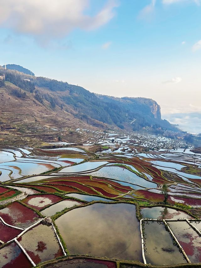 雲南昆明-羅平-元陽之旅走進現實中的山水畫卷