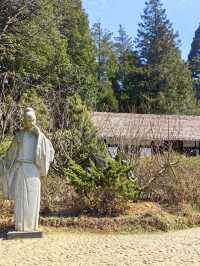 老友記：廬山-景德鎮-婺源6日深度遊全攻略