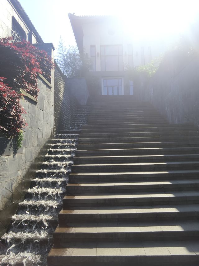 寧波曾經的頂流酒店