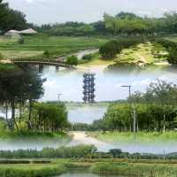 始興市深度遊，解鎖韓國文化與自然之美！