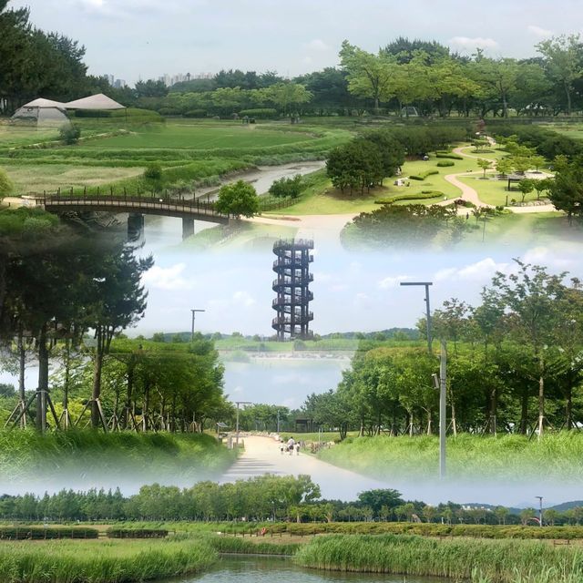 始興市深度遊，解鎖韓國文化與自然之美！