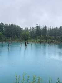 清明日本七天不重複旅行攻略