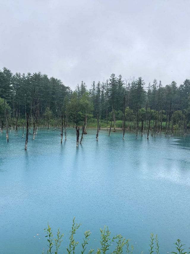 清明日本七天不重複旅行攻略