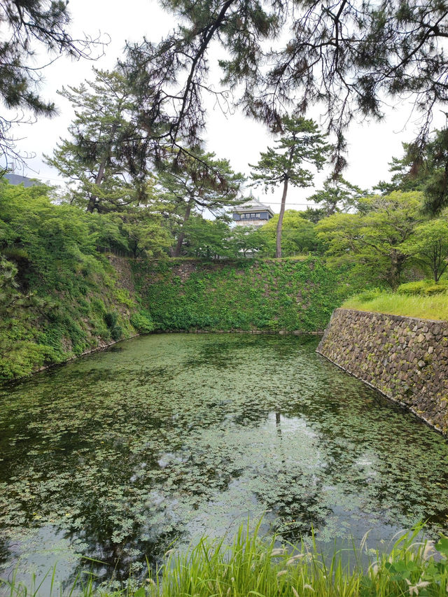 小倉城與松本清張紀念館一日遊：歷史與文學的交織之旅🏯📚