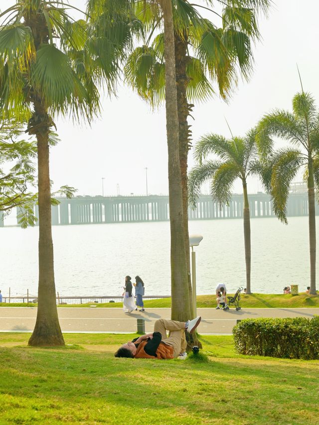 去前海石公園，提前感受深圳的夏天