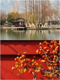 第一次來包公園 這麼玩就對了