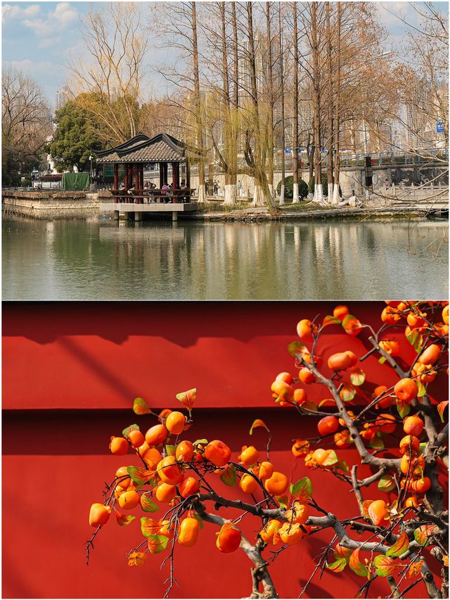 第一次來包公園 這麼玩就對了