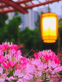 闖進莫奈花園的仲夏夜之夢