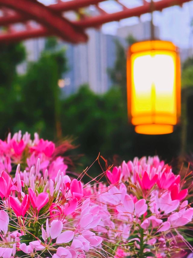 闖進莫奈花園的仲夏夜之夢