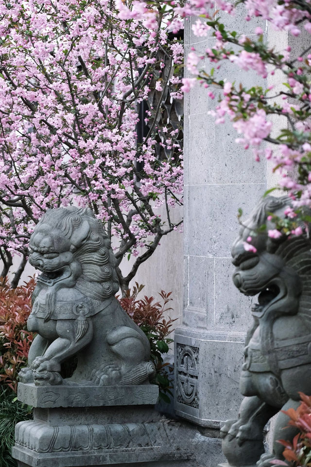 藏身於市區的小眾賞花勝地，人少花多超好拍！