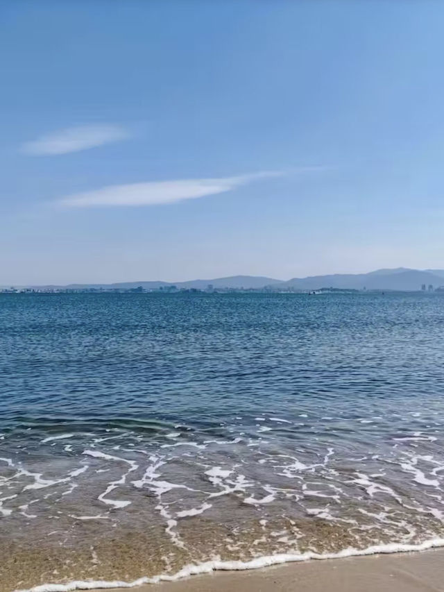 海風與繁花的輕語——海之中道海濱公園與能古島