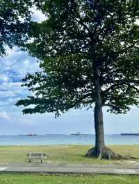 海風與椰影：東海岸公園的悠然時光