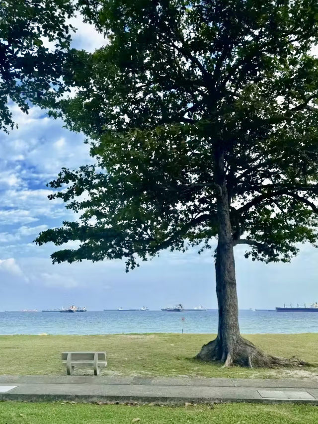 海風與椰影：東海岸公園的悠然時光