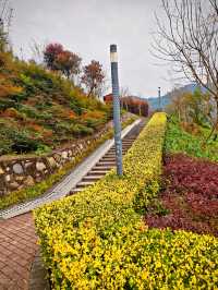 坐落在金沙江畔的公園