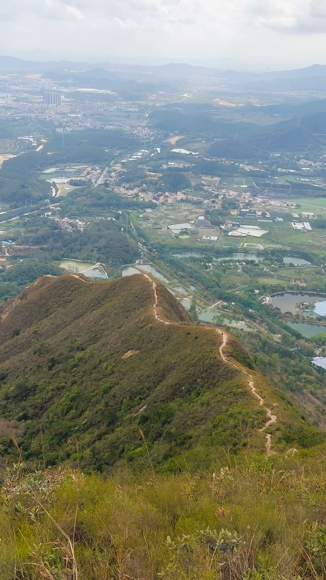 爬到腳軟！鶴山昆侖山魔鬼陡坡挑戰，我差點爬到想嘔