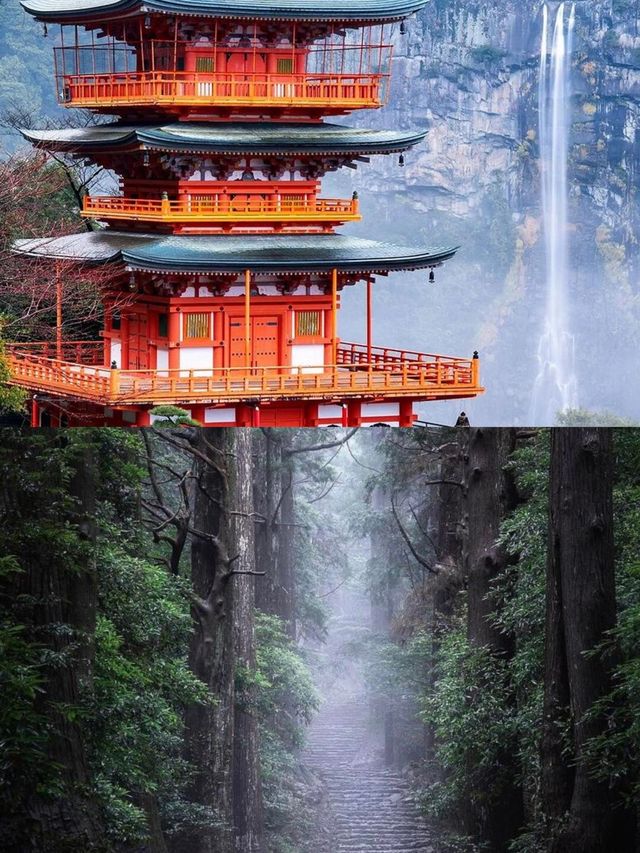 熊野古道新手路線，都是精華！