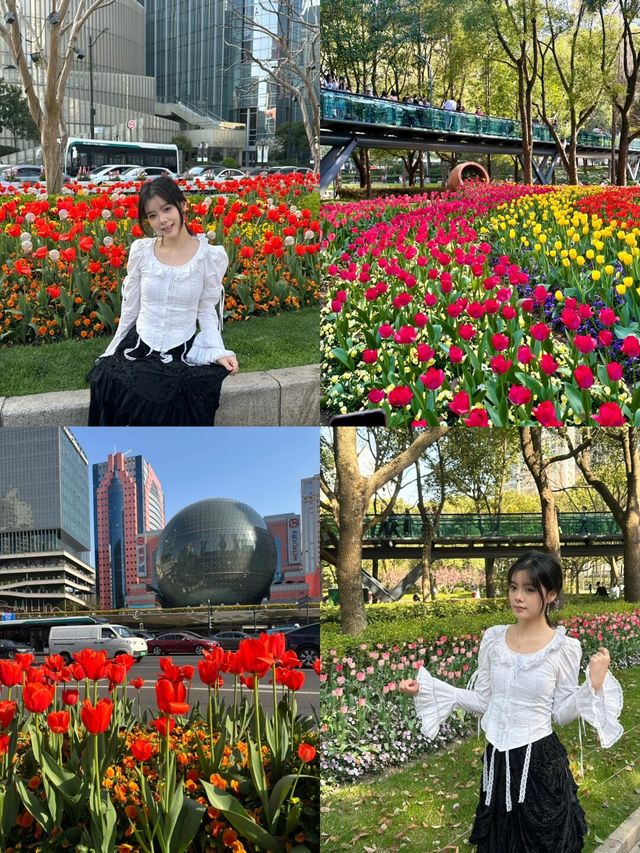 上海市區的鬱金香！徐家匯鬱金香打卡位！