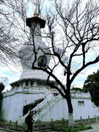 邂逅桃花盛宴︳瘦西湖全攻略感受春天嘅浪漫啦