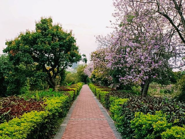 Haokun Wet Land Reserve: Ecological Treasure and Nature Beauty Museum