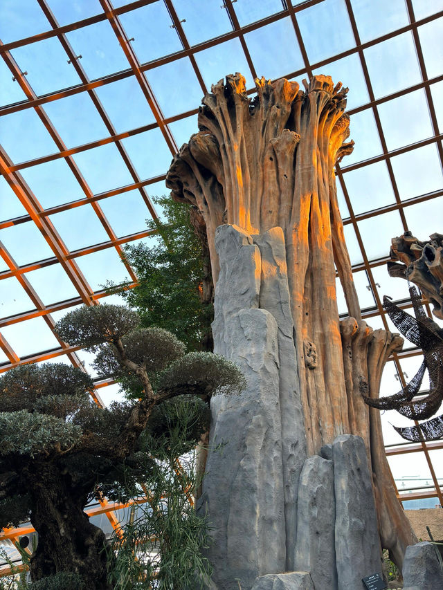 太原植物園｜週末好去處
