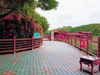 Nansha Wet Land: Pearl River Delta Relaxation Oasis