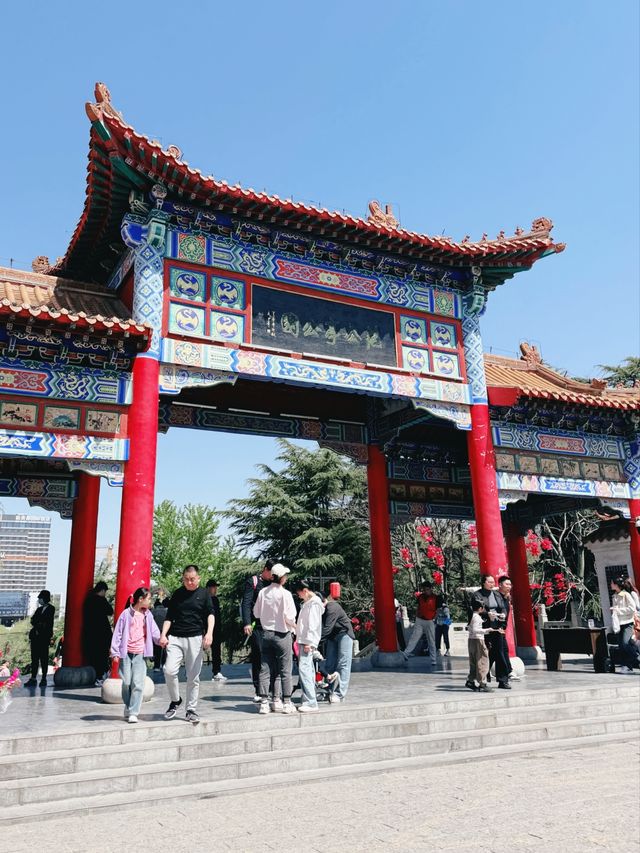 在濰坊欣賞櫻花|免費的范公亭當然要去打卡