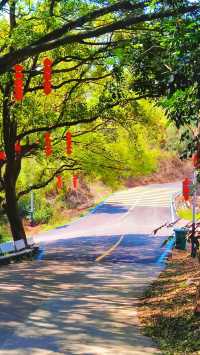 香山的行山路線適合新手嗎？