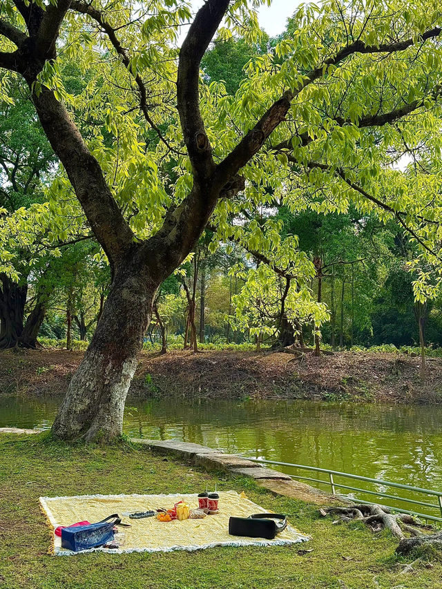 岐江公園野餐，邂逅悠然時光