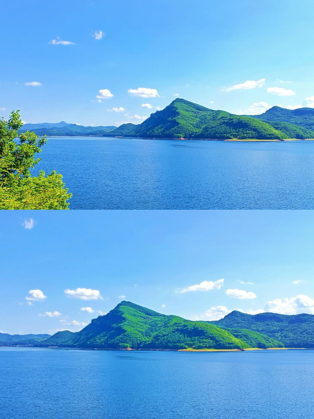 遼寧吸睛標題