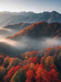 春天的光霧山是可以封神的