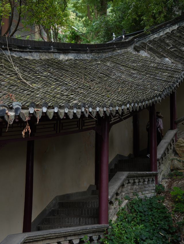 這才是江南最被低估的打開方式——鎮江