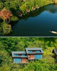 富春江畔睡進《山居圖》！杭州富春芳草地
