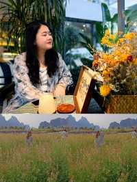 滿院子都花開了喎，又係一次快樂嘅旅行！