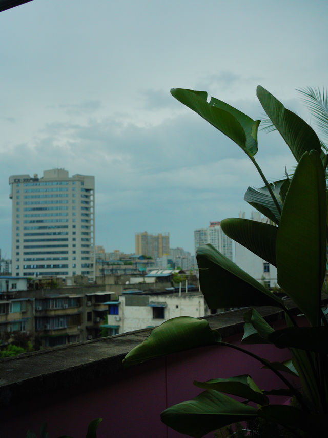 住在成都這裡🫧讓我想起了泰國旅行的日子