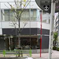 🌤️東京晴日奇遇記｜陰雨多日後，終於擁抱被陽光寵愛的時刻！