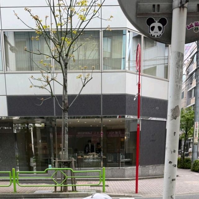 🌤️東京晴日奇遇記｜陰雨多日後，終於擁抱被陽光寵愛的時刻！