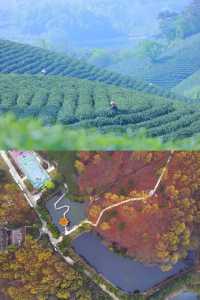 來信陽，赴一場中式度假之約