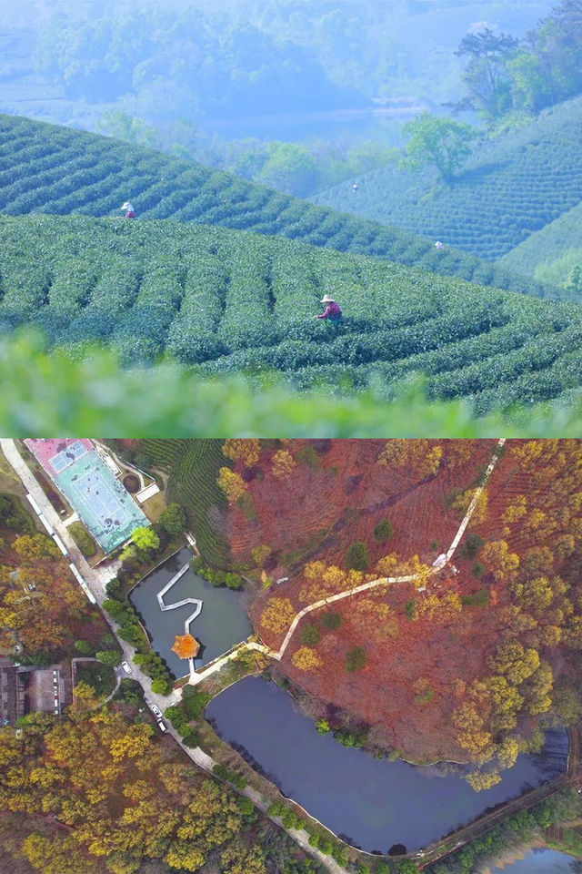 來信陽，赴一場中式度假之約